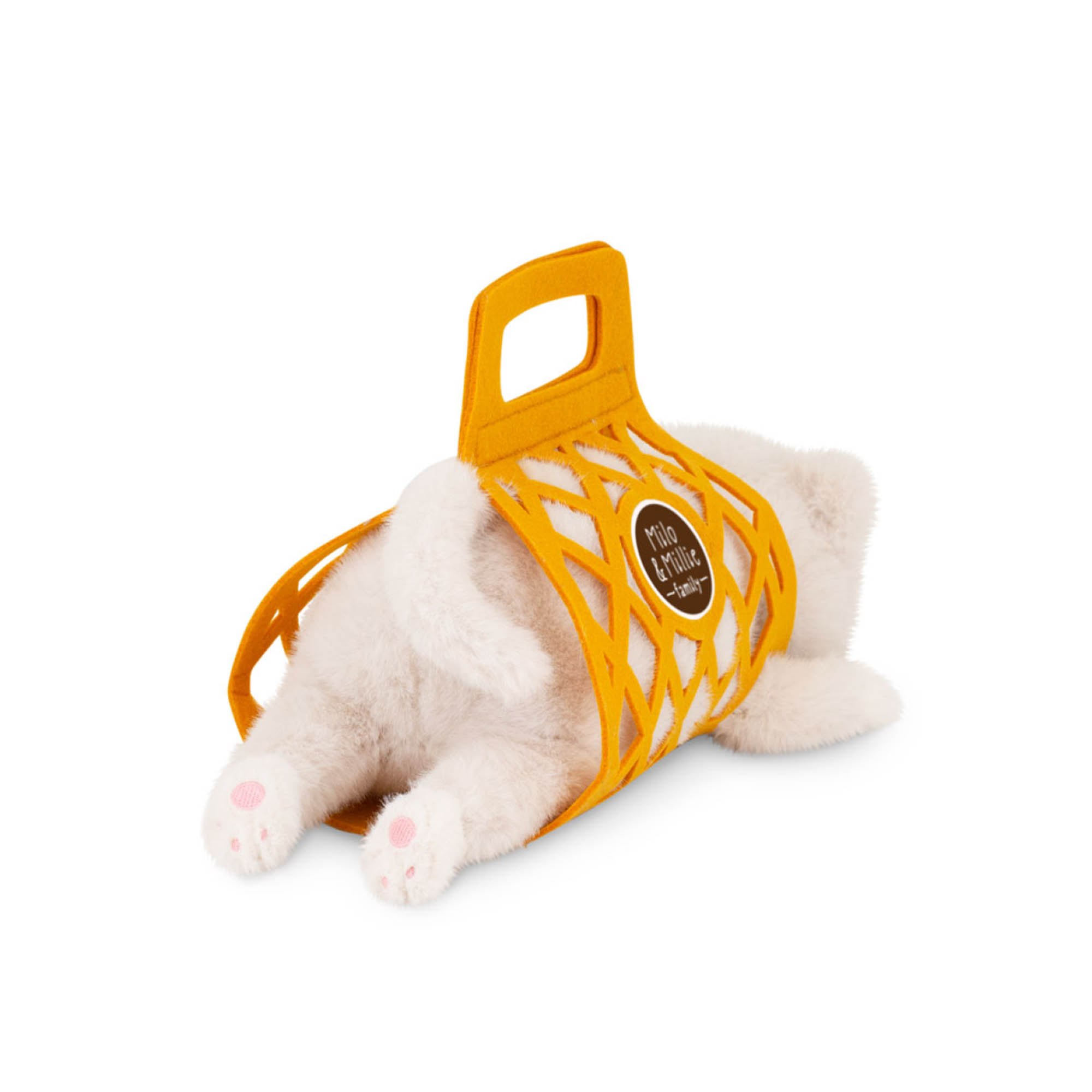 Milo die weiße Katze Milo die weiße Katze