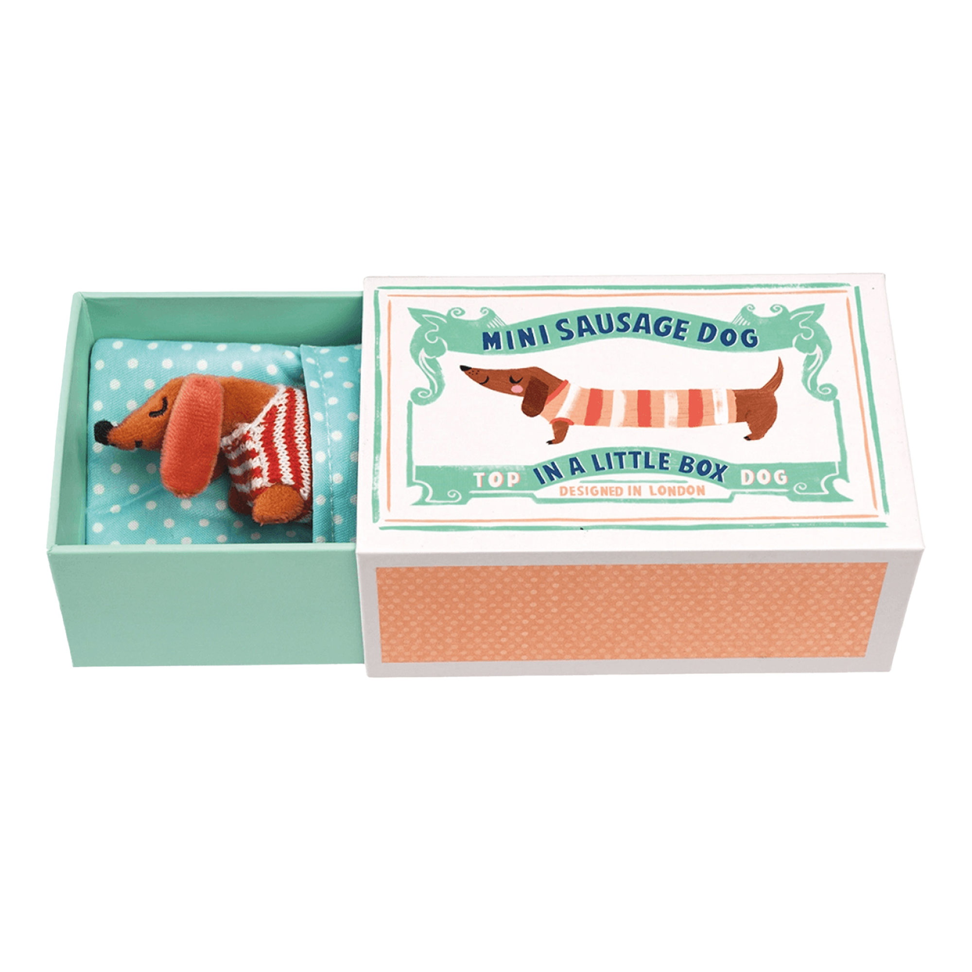 Mini-Dackel in der Box