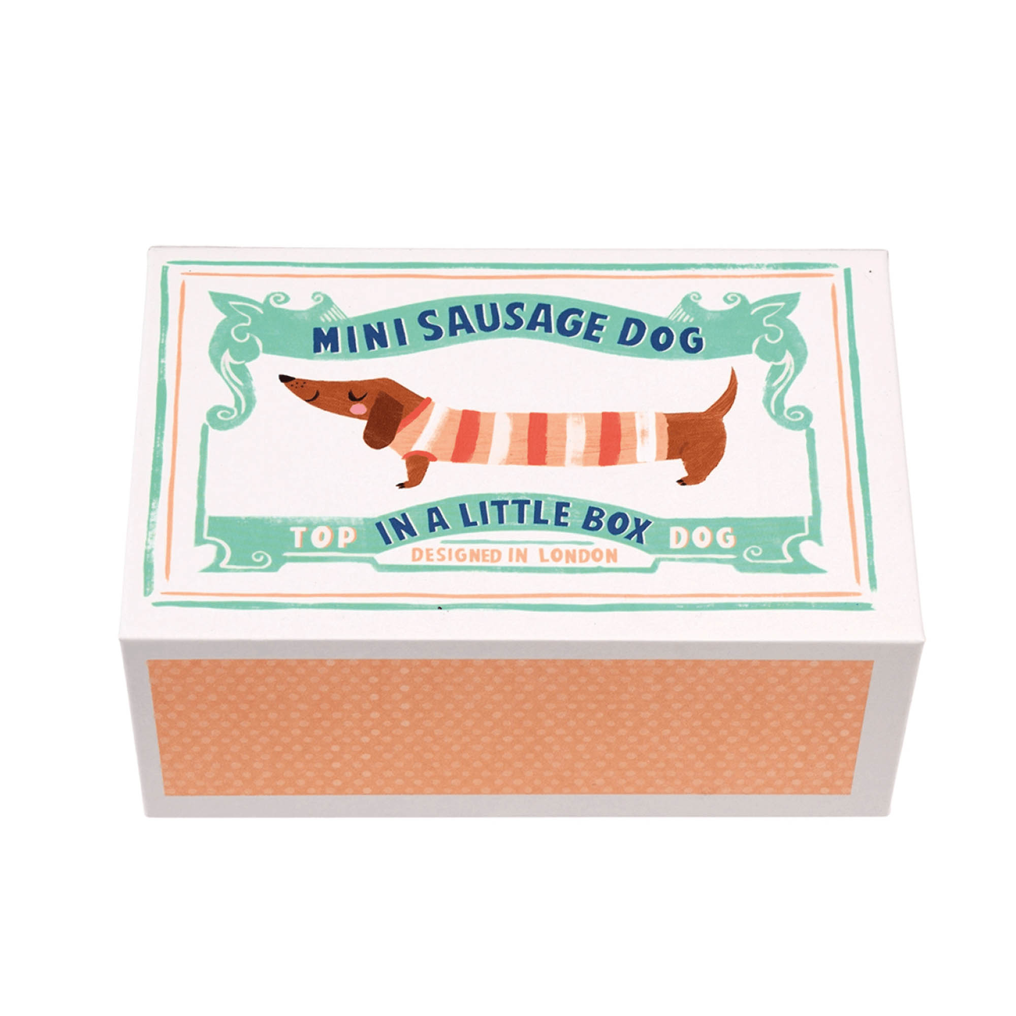 Mini-Dackel in der Box