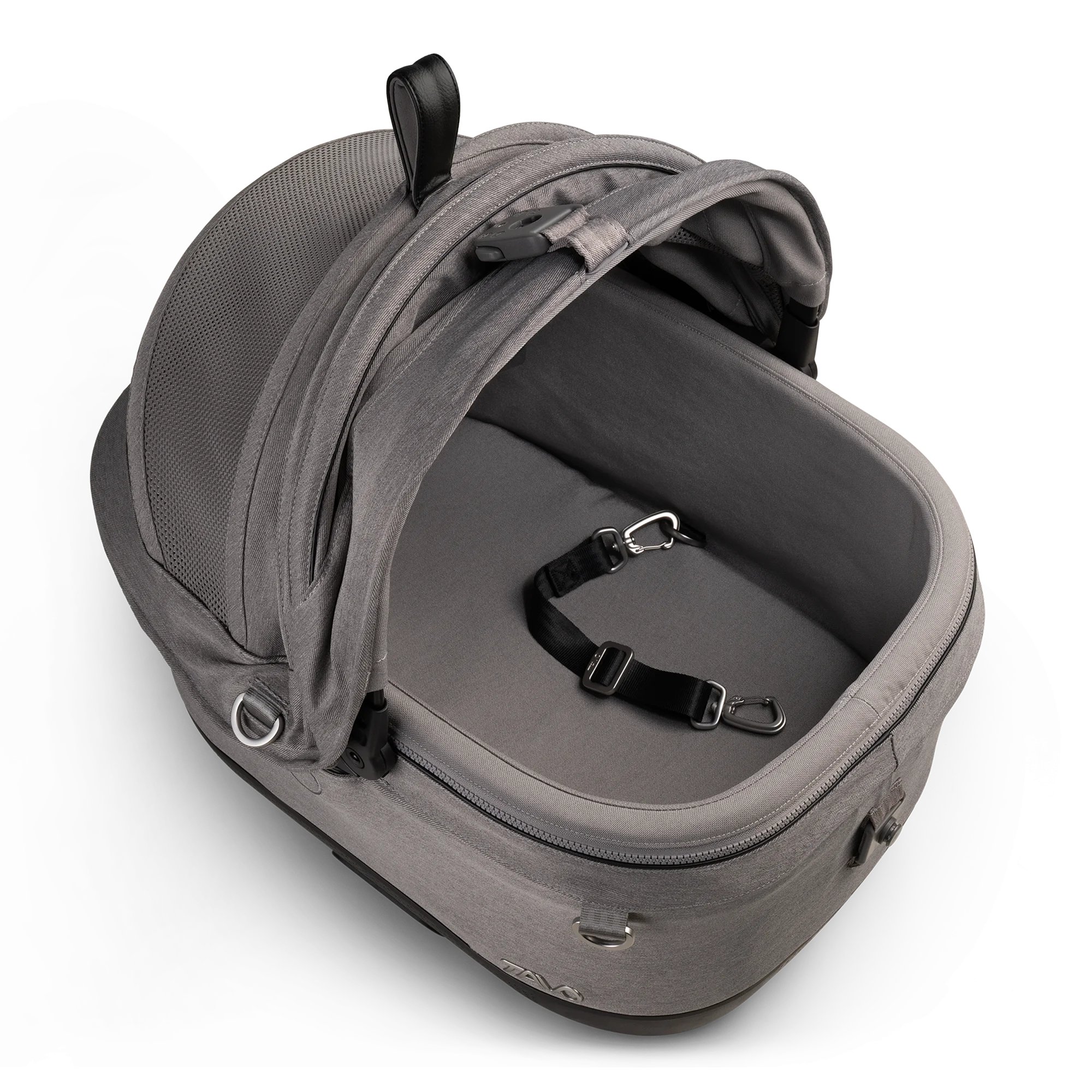 Tavo Maeve ISO 5X Merle