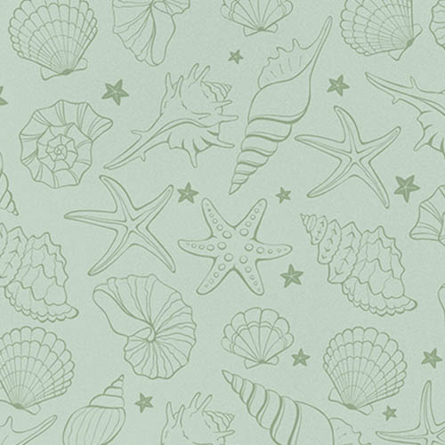 Seashell Olive
