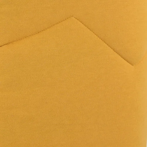 Golden Yellow Reflection