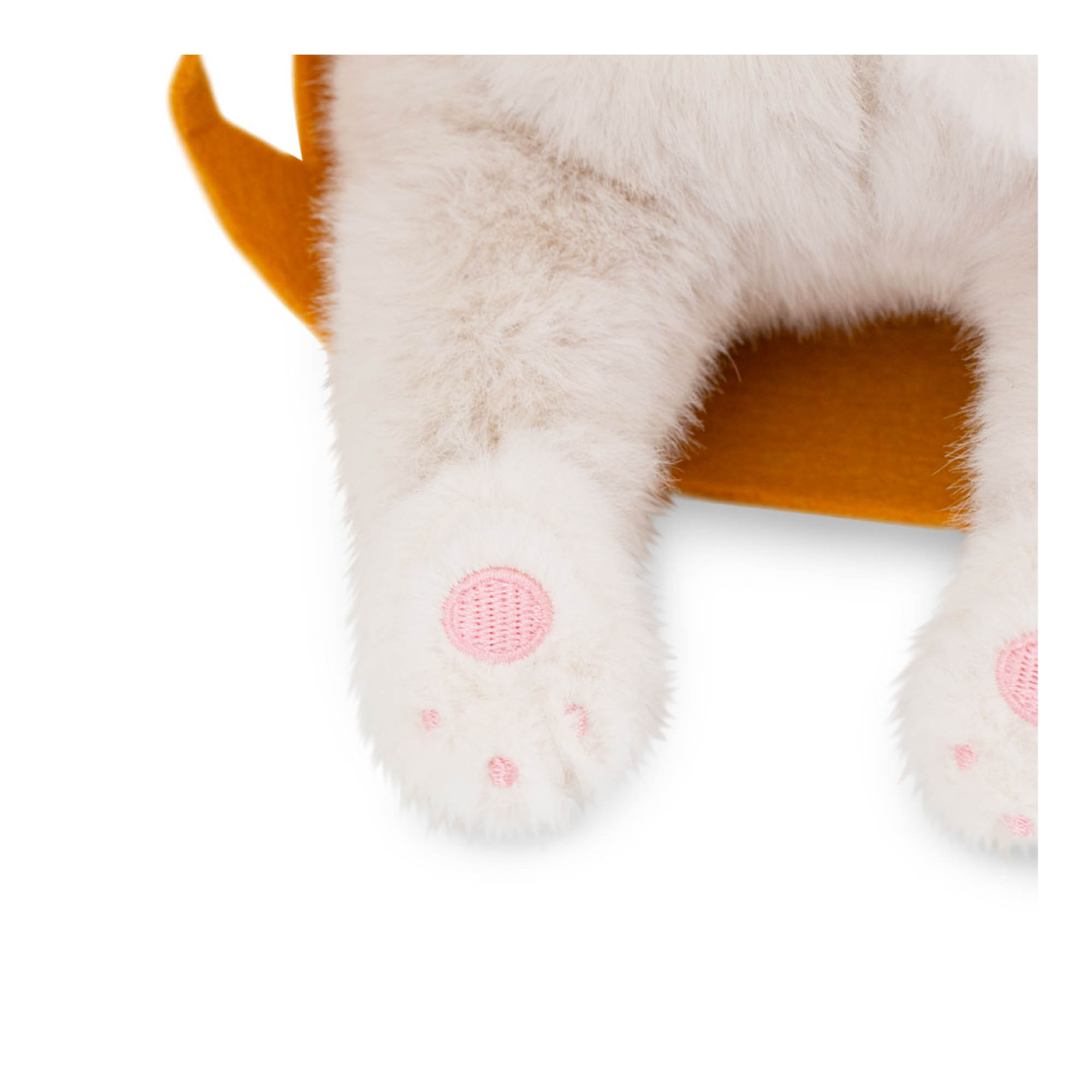 Milo die weiße Katze Milo die weiße Katze