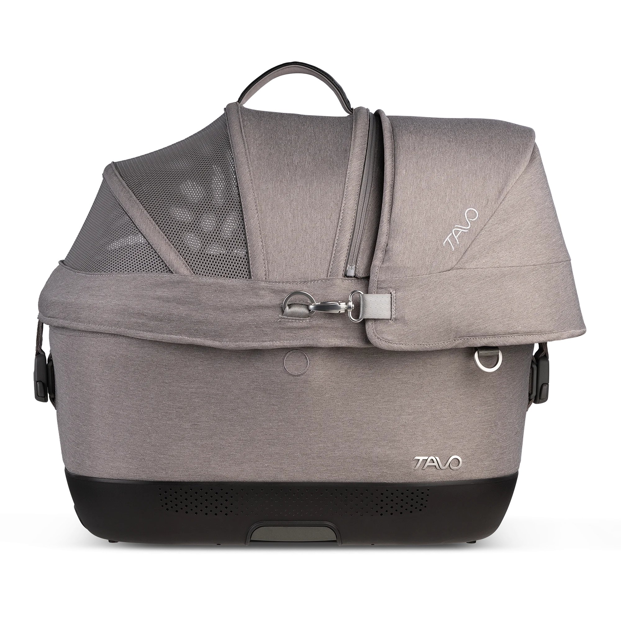 Tavo Maeve ISO 5X Merle