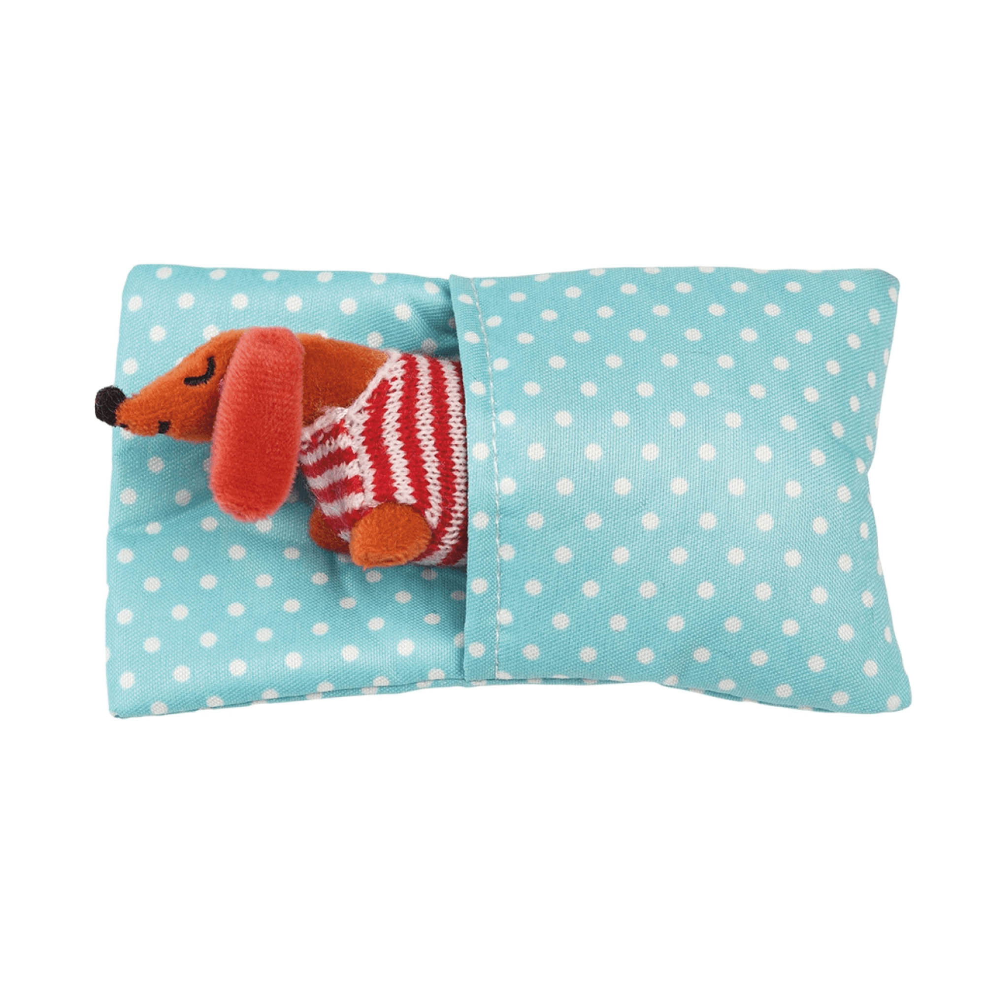 Mini-Dackel in der Box