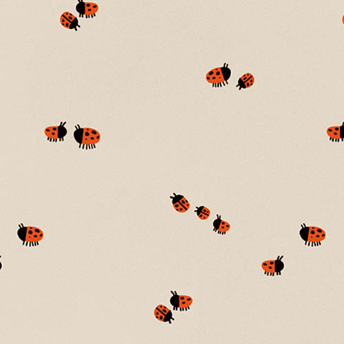 Ladybug