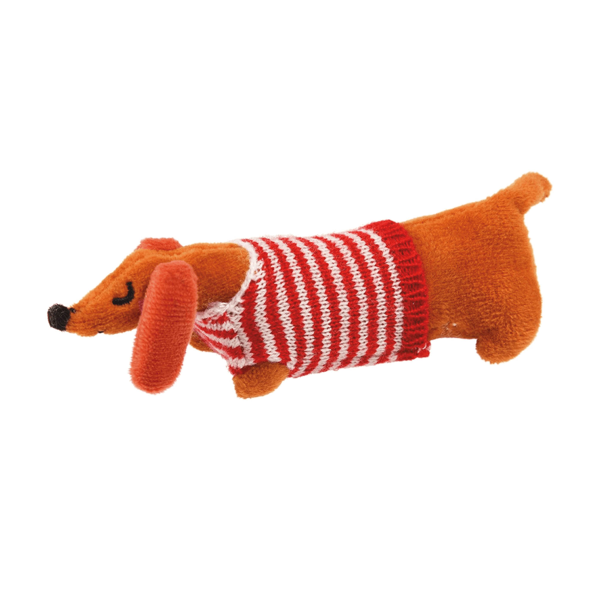 Mini-Dackel in der Box